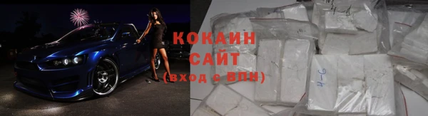 твердый Арсеньев