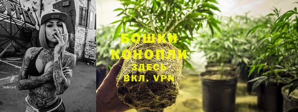 spice Балабаново