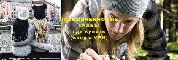 spice Балабаново