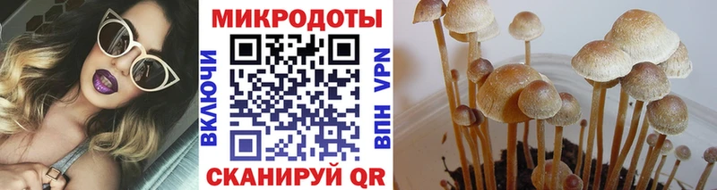 где купить наркоту гидра как зайти Галлюциногенные грибы ЛСД Володарск